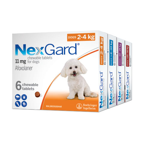NexGard® | The TRUSTED Parasites Treatment For Pets